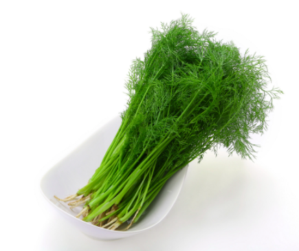 經(jīng)常吃低脂餐的好處