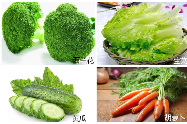 沙拉輕食制作