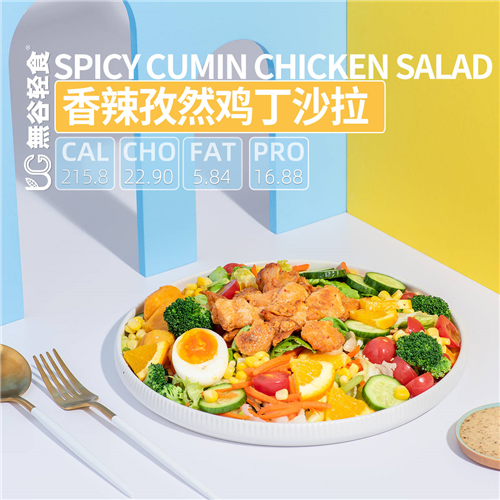 輕食減肥餐加盟
